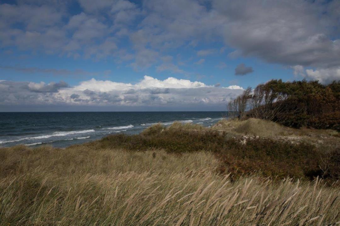 Studio 11 Im Haus Stranddistel, Modernes Studio Im 1 Og Fur 2 Personen In Цингст Экстерьер фото
